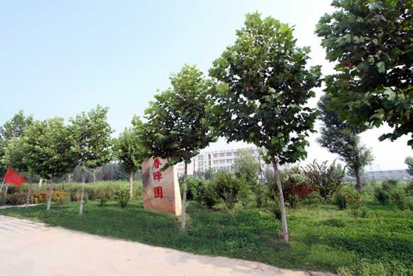 衡水科技工程學(xué)校怎么樣？是國(guó)辦院校嗎？就業(yè)有保障嗎？