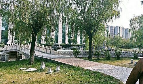 會(huì)計(jì)專業(yè)課程怎么樣？   