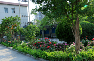 邯鄲理工學校怎么樣？學校都有什么專業(yè)？