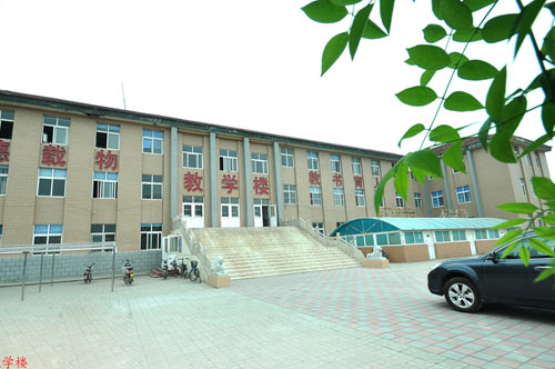 滄州國興職業(yè)技術(shù)學(xué)校開設(shè)了哪些專業(yè)？