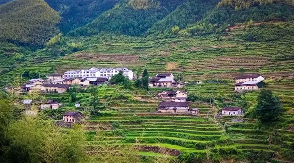 農(nóng)村經(jīng)濟綜合管理專業(yè)怎么樣？山東威海外國語進修學(xué)院帶你了解一下！