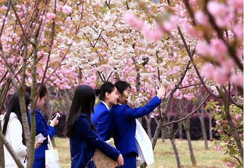 武漢東湖學(xué)院自考本科專業(yè)有哪些？