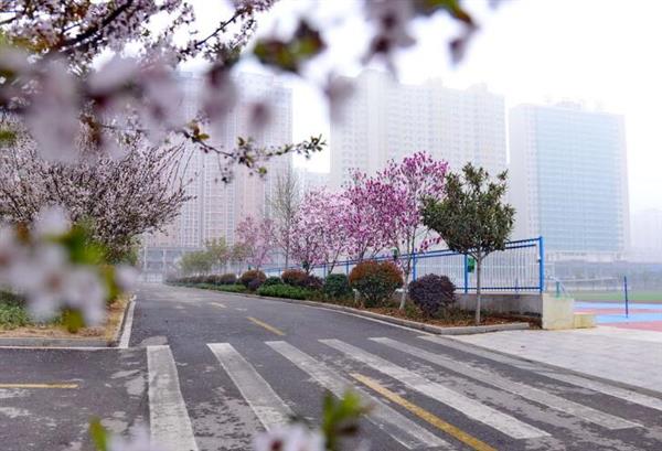 河北大學(xué)新世紀(jì)函授站成人高考輔導(dǎo)班怎么樣？