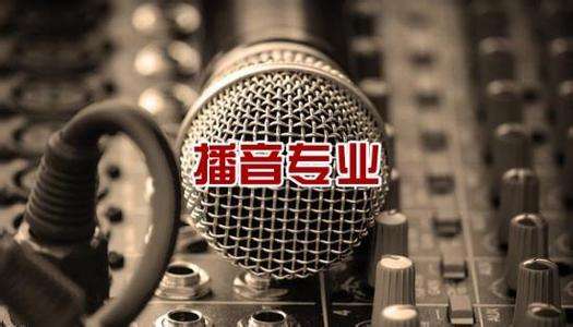 北京吉利學(xué)院華視傳媒學(xué)院有藝術(shù)相關(guān)專業(yè)嗎？