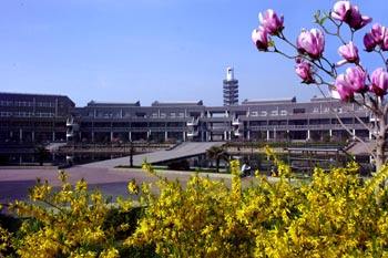 邯鄲華博中等專業(yè)學(xué)校師資怎么樣？