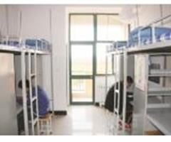 煙臺汽車工程職業(yè)學院開設哪些專業(yè)？