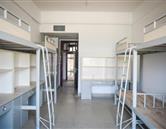 洛陽職業(yè)技術(shù)學(xué)院