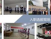 專(zhuān)業(yè)分類(lèi)