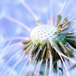 石家莊汽修學(xué)校貼吧